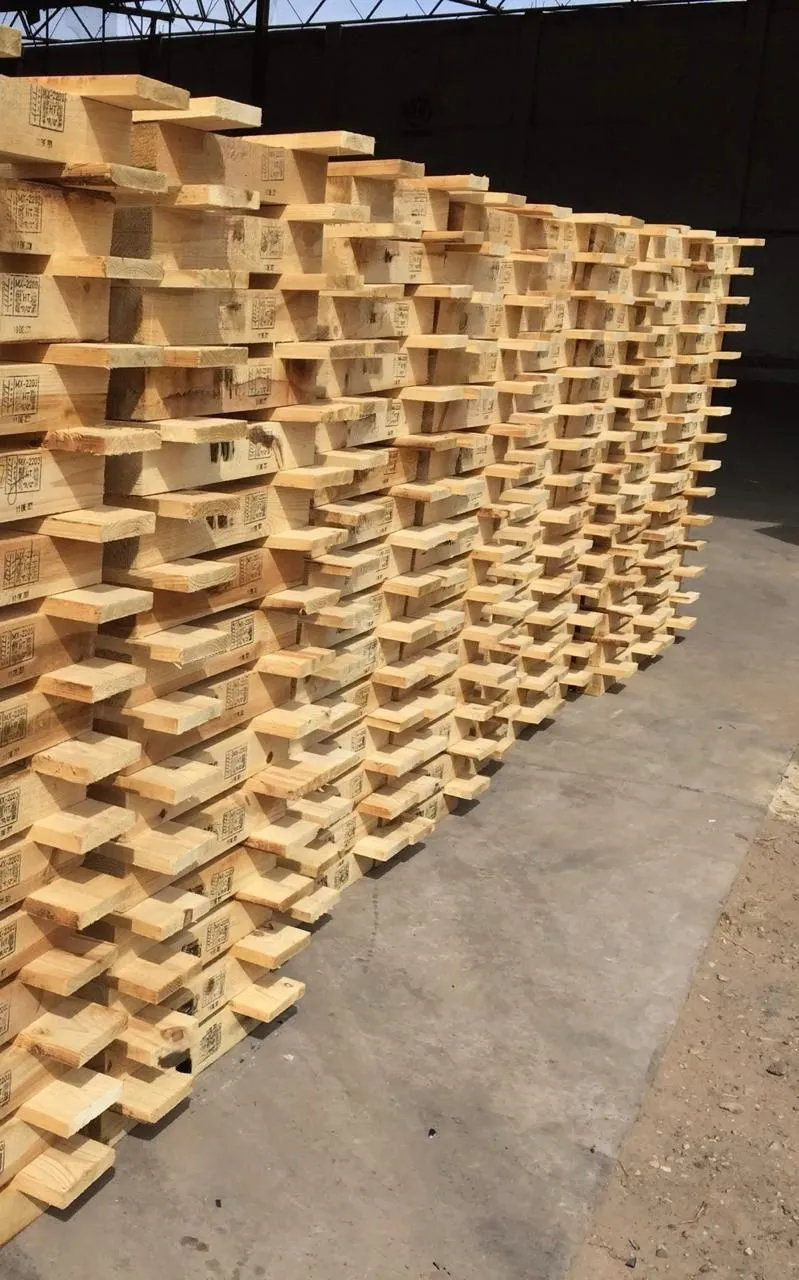 Tarimas industriales en bodega Durango