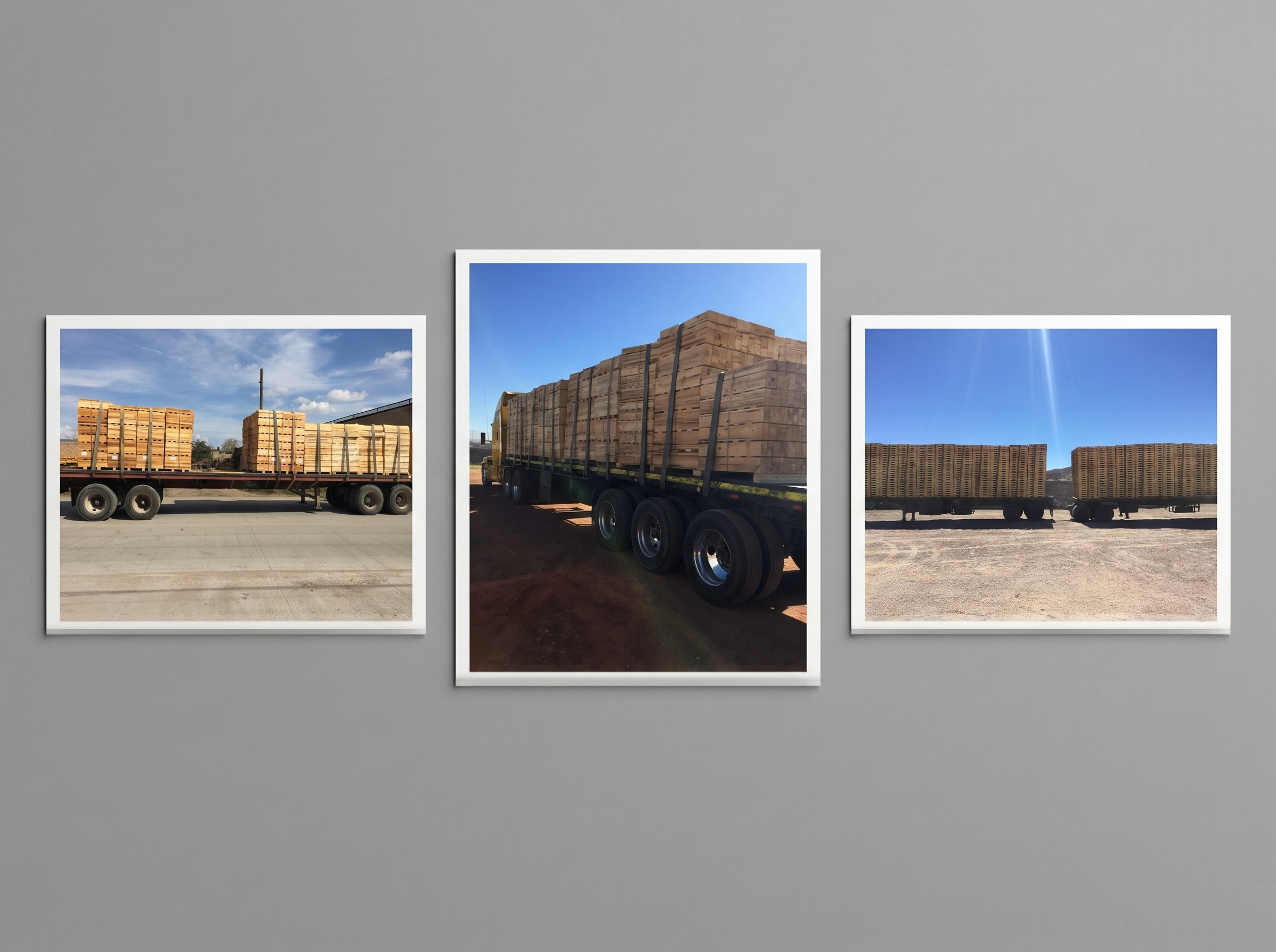 Tarimas de madera con sello de tratamiento